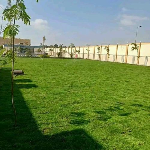 تنسيق حدائق (5)